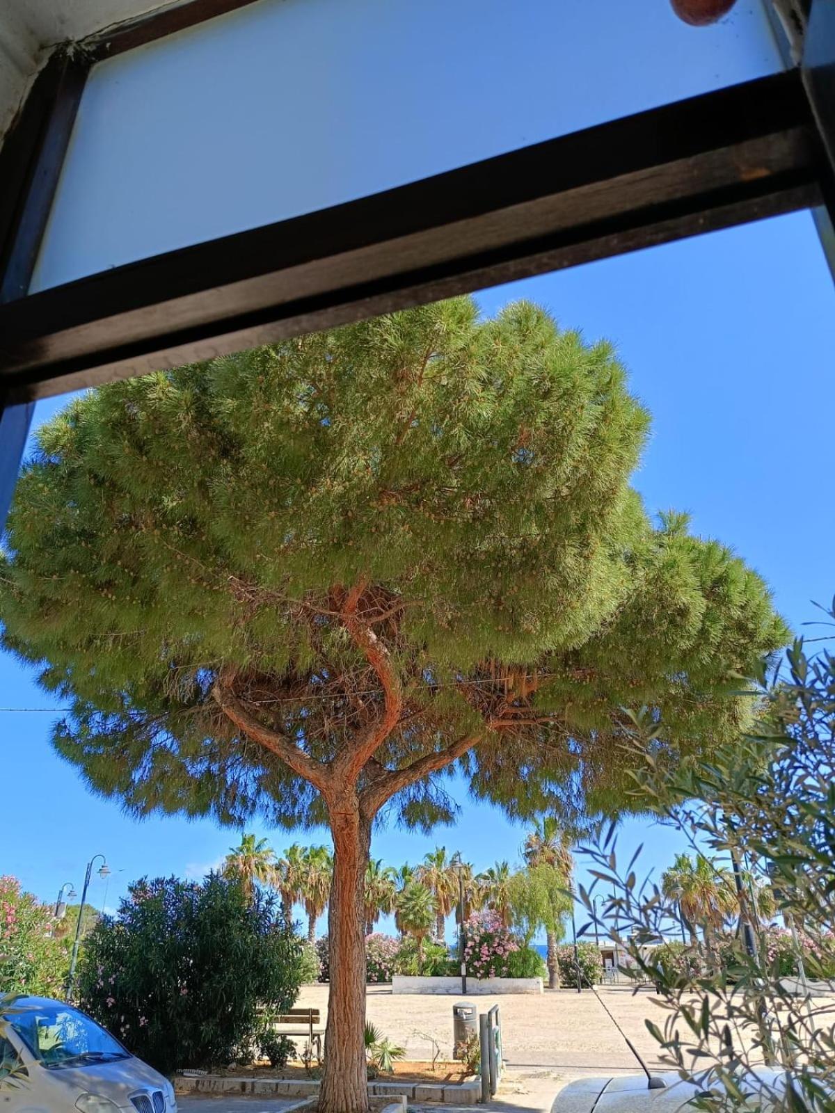 Da Cappellini Isola delle Femmine Exterior foto